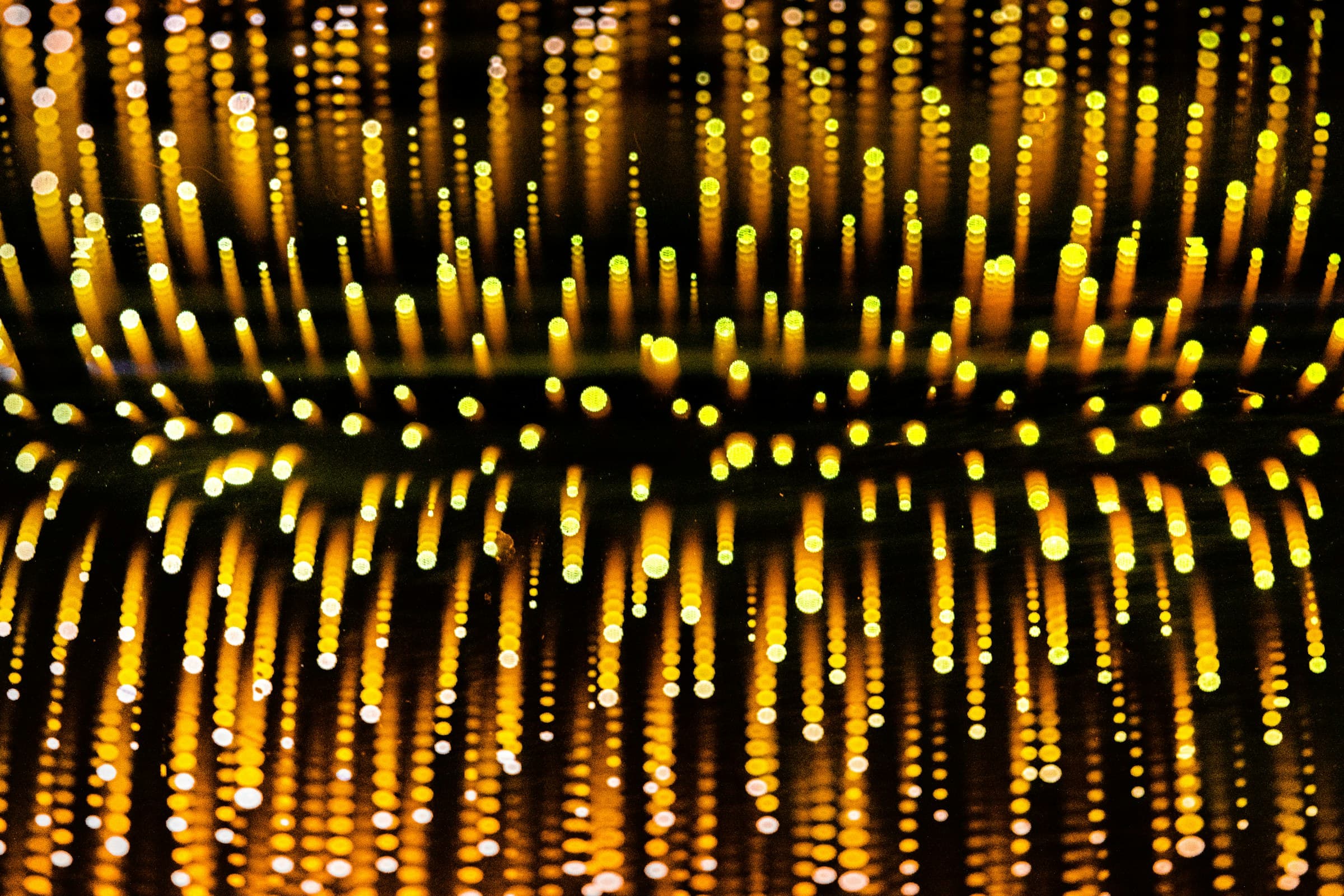 Golden fibre-optic strands of light