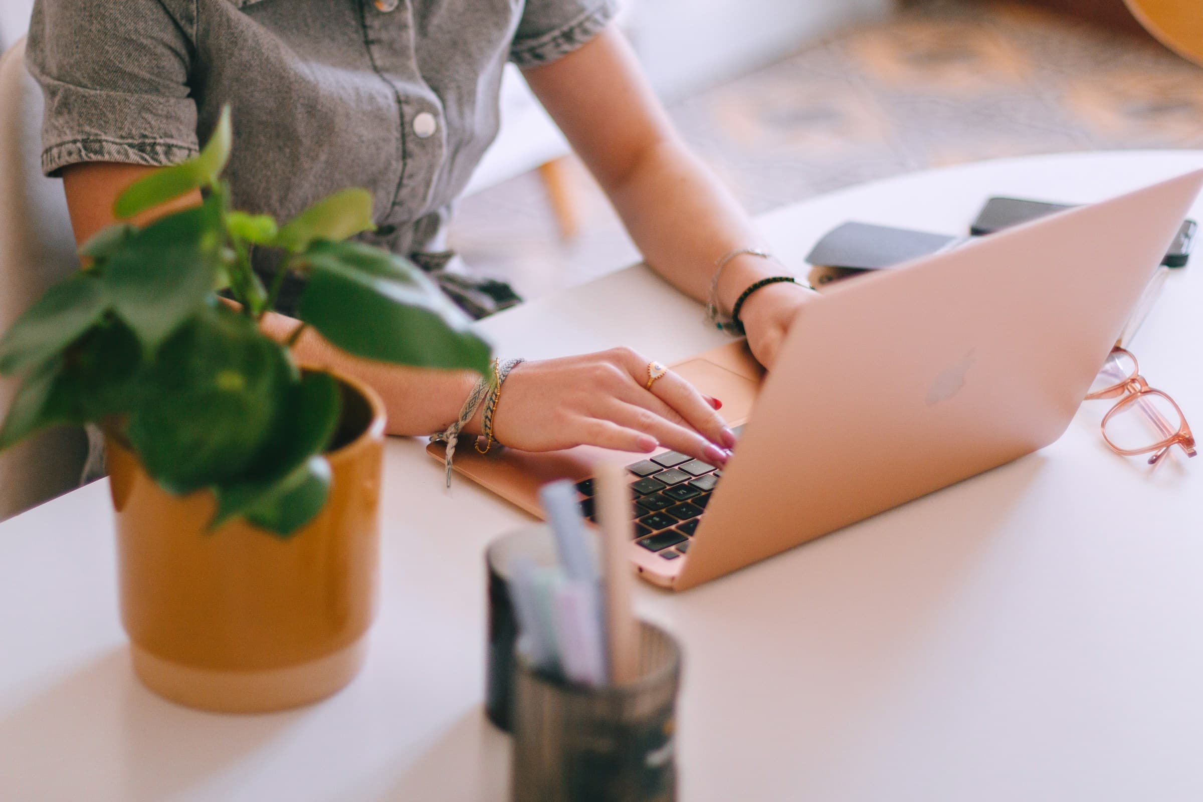 Hands on a laptop beside a small plant
