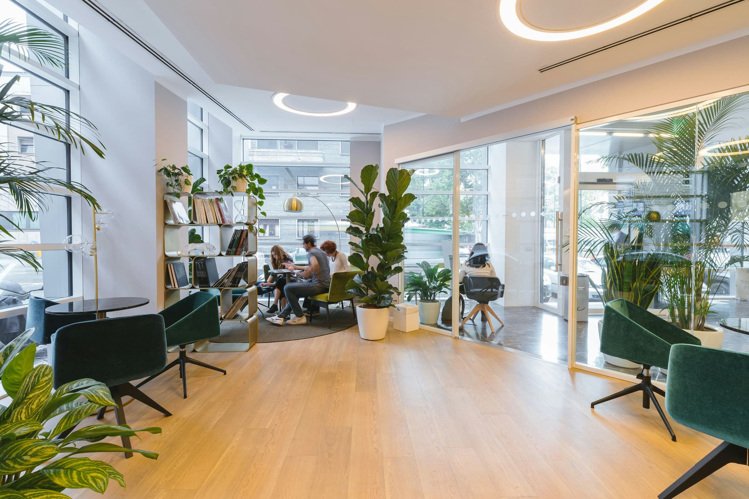 A bright office lounge with plants