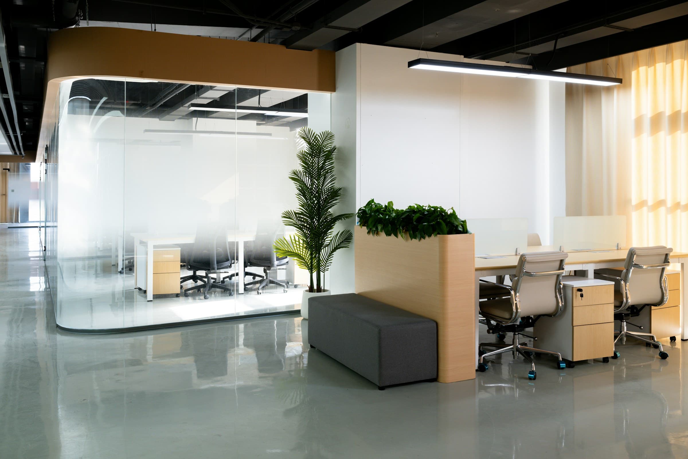 An office with a planted pod in the middle